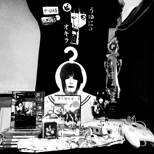 My main display of Pinokiwo merch. Lots of stuff.